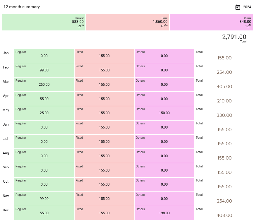 12 month expenses summary